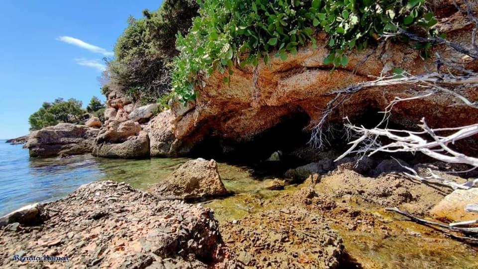 درفينيك Hotel Ivando - Maslina المظهر الخارجي الصورة